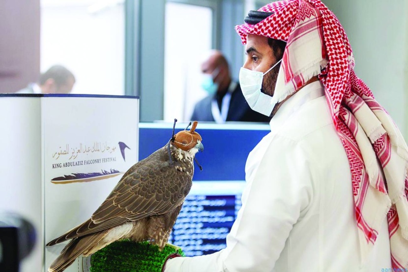 لأول مرة .. المملكة تستضيف مزادا دوليا لمزارع إنتاج الصقور