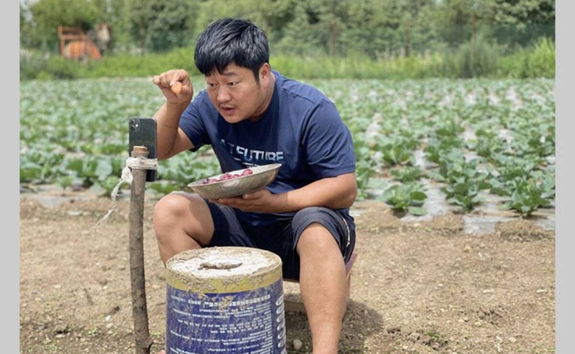 مزارعون صينيون يربحون ملايين الدولارات على «تيك توك»