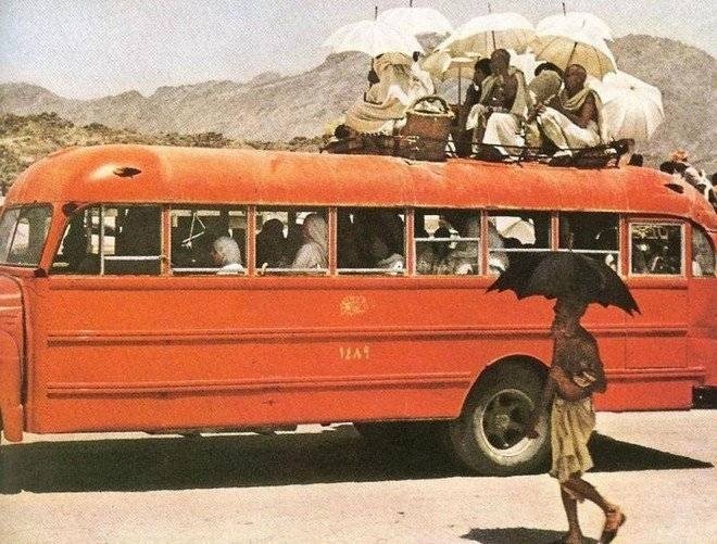 «عروس الطائفين» .. وكم من ضعيف كان يرى الموت عيانا دونها