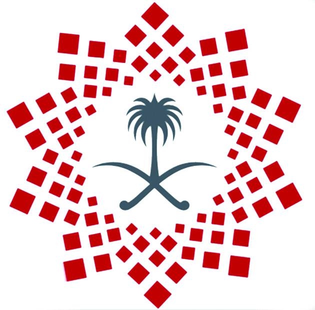 «هاوي» .. منصة لتحفيز الأفكار الإبداعية والأنشطة المجتمعية