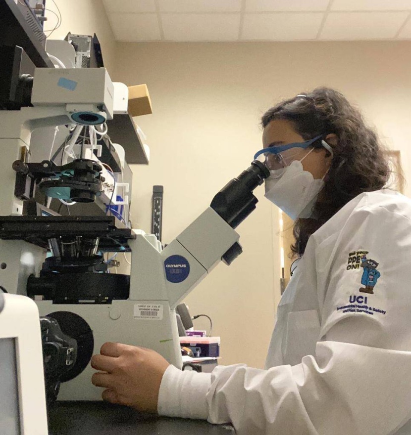 سعودية تقود تطوير محركات مجهرية بحجم الخلايا البشرية