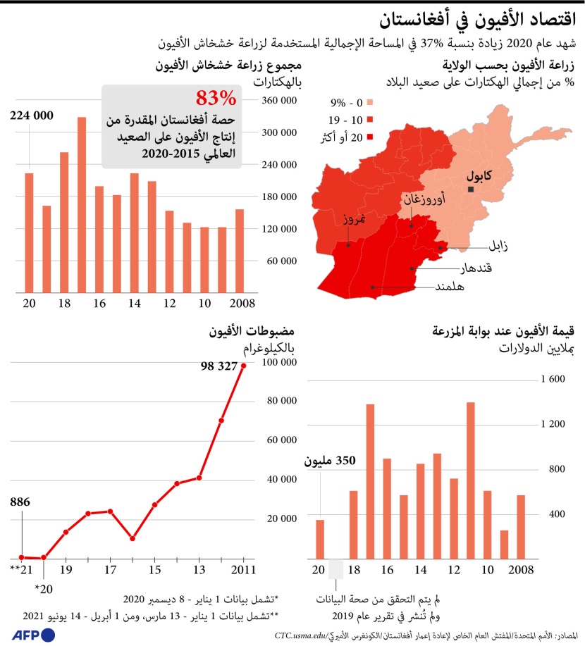 أفغانستان تنتج 83% من الأفيون العالمي .. القيمة السوقية تتجاوز 350 مليون دولار