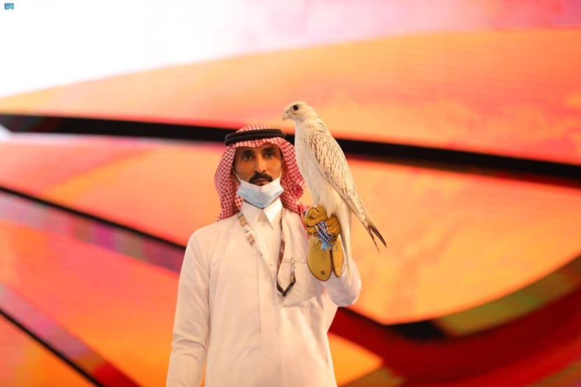 بيع صقر كندي نادر الجمال بـ 350 ألف ريال