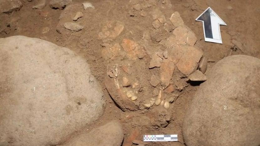 اكتشاف هيكل عظمي ينتمي إلى مجموعة بشرية غير معروفة