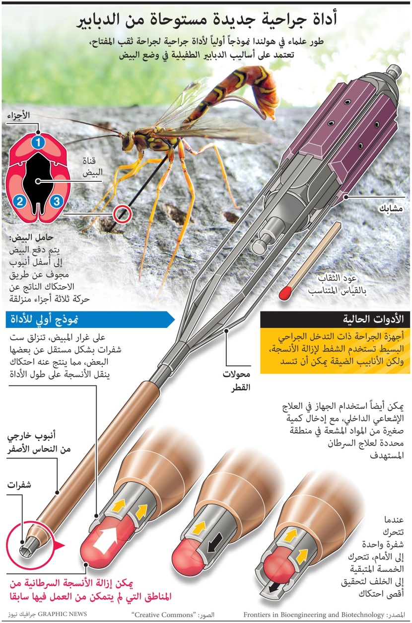 أداة جراحية جديدة مستوحاة من الدبابير