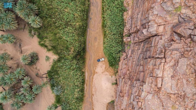 «صيف السعودية» .. تخييم ومغامرات في «وادي الديسة»