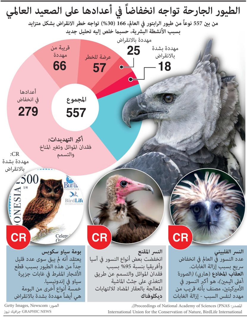 الطيور الجارحة تواجه انخفاضا في أعدادها على الصعيد العالمي