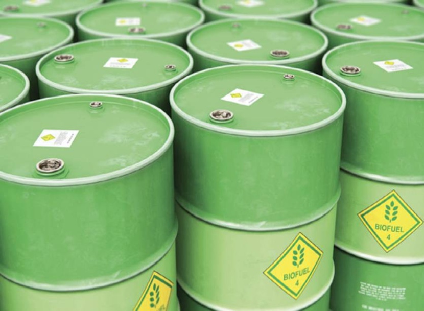 مهلا .. توقفوا قليلا حتى ينتج المزارعون مزيدا من الفاصوليا