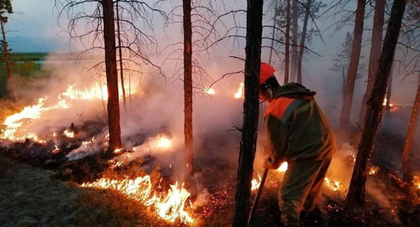 حرائق غابات روسيا طالت 17.6 مليون هكتار .. نصف مساحة ألمانيا