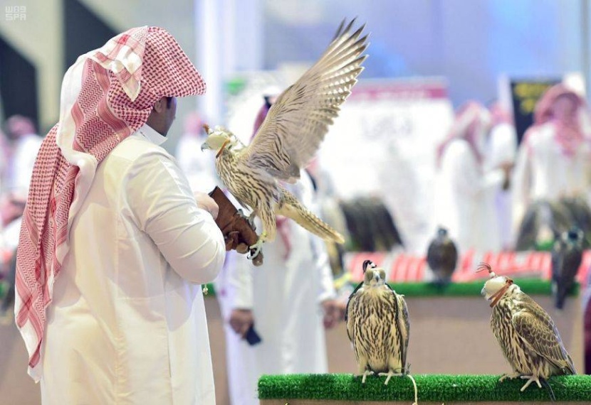 بمشاركة عالمية .. انطلاق معرض الصقور السعودي أكتوبر المقبل