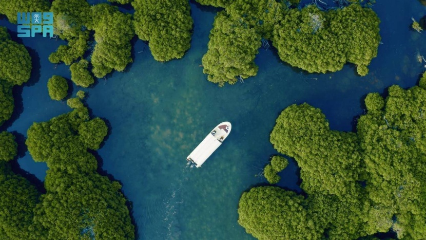 تسجيل «فرسان» في برنامج الإنسان والمحيط الحيوي في اليونسكو