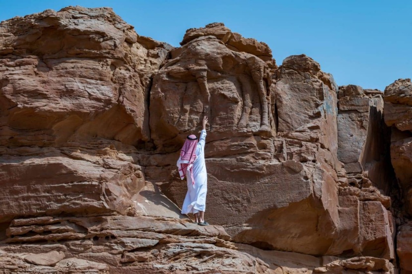 علماء: موقع الجمل في الجوف الأقدم في العالم لنحت الحيوانات المجسمة