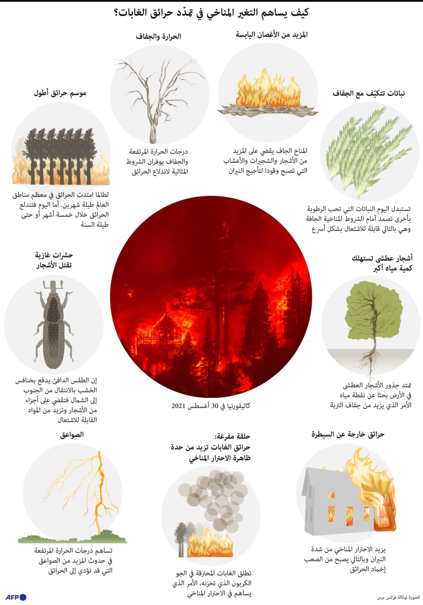ماهي علاقة التغير المناخي بحرائق الغابات؟