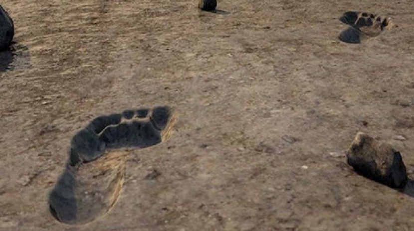 اكتشاف آثار أقدام عمرها 23 ألف عام