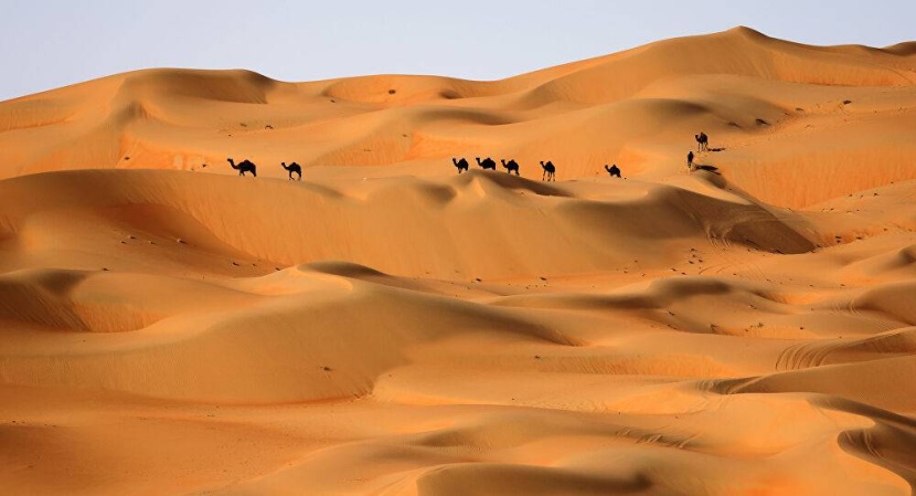 علماء آثار يؤكدون أن شبه الجزيرة العربية كانت خضراء