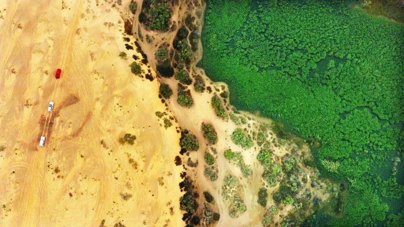 في «صيف السعودية» .. سفاري الأحساء مغامرة وطبيعة ساحرة