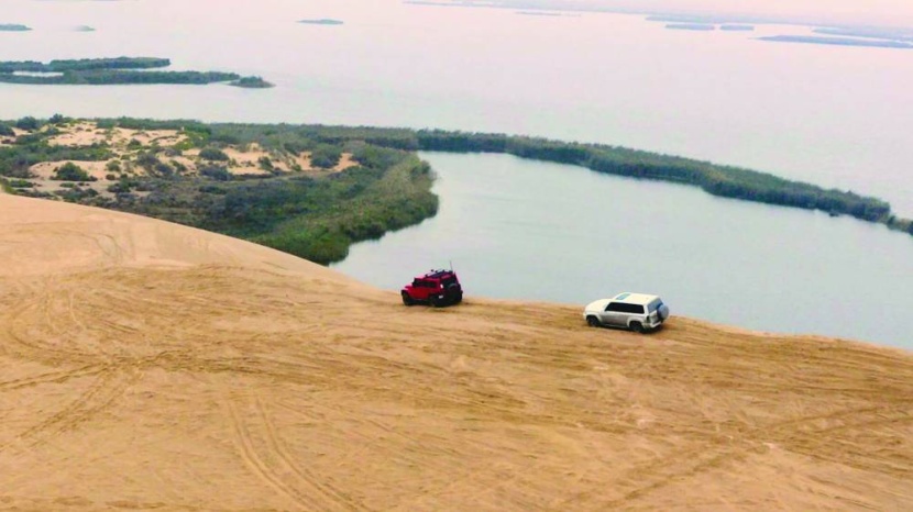 في «صيف السعودية» .. سفاري الأحساء مغامرة وطبيعة ساحرة