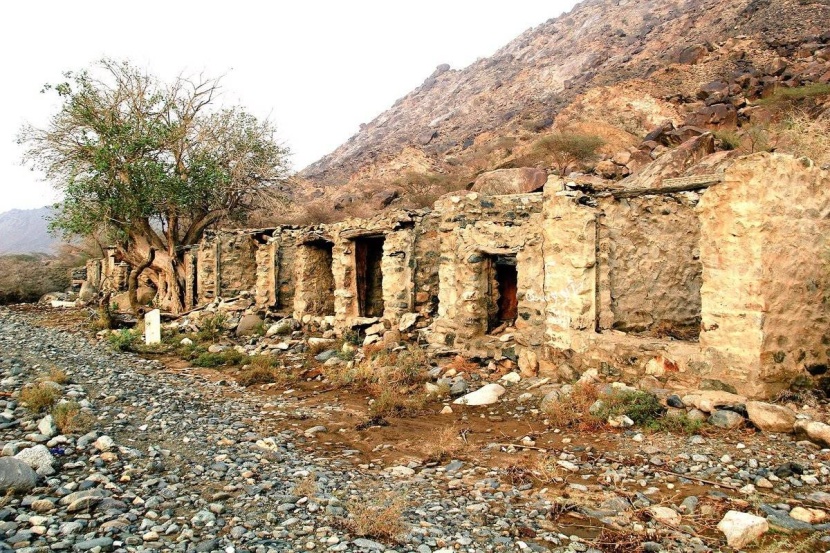 «الدارة» وهيئة التراث تعقدان ورشة عمل عن توثيق سوق «حباشة»