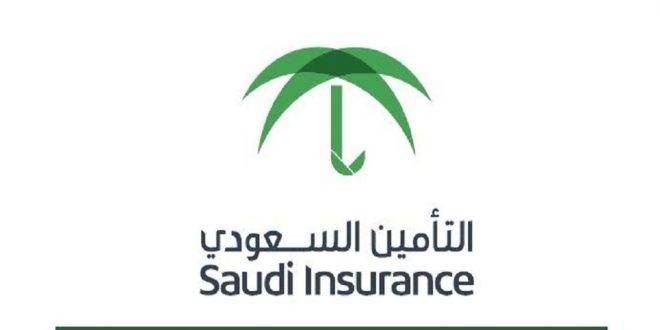 29 شركة توفر الاحتياجات التأمينية وضمان الحقوق للأفراد والمنشآت التجارية