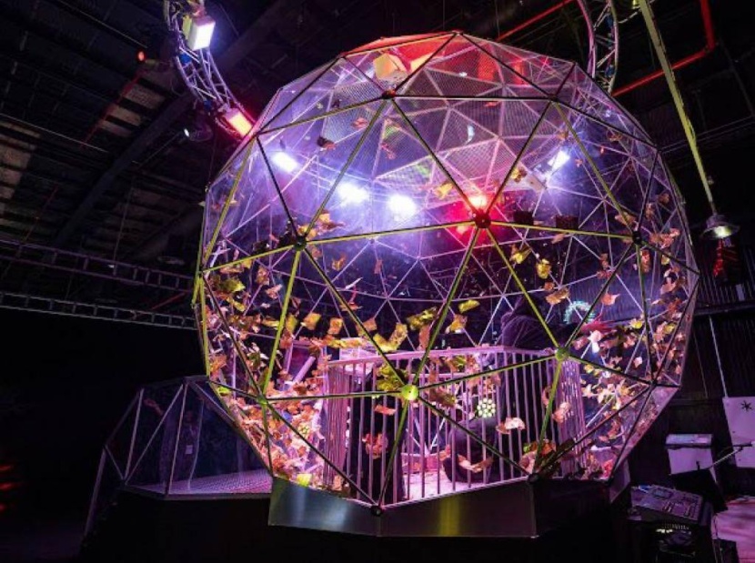 «متاهة الكريستال» .. ألعاب حركية تنمي الذكاء