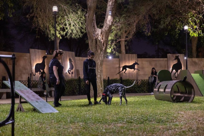 «الجلسة» .. تجربة فاخرة ومناظر طبيعية في «ذا جروفز»