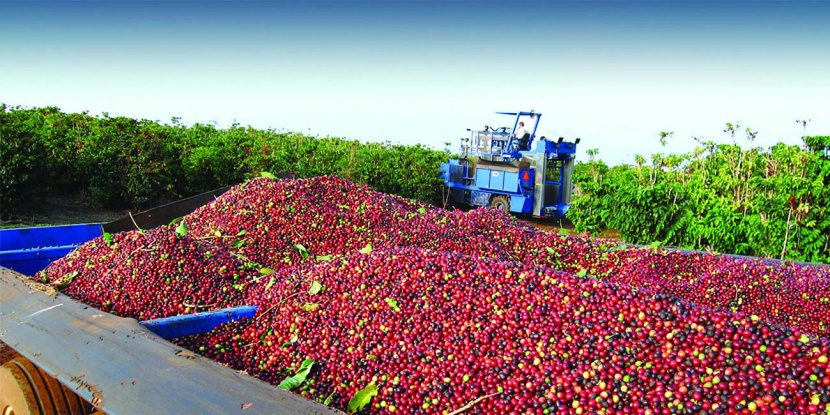 وزير الثقافة: 2022 عام القهوة السعودية بكامل طقوسها ومكوناتها الأصيلة