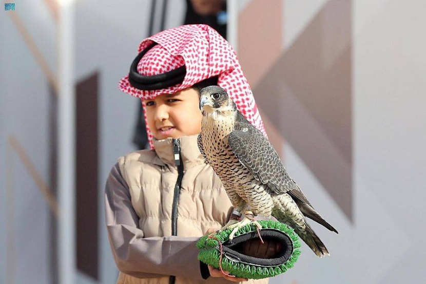 «مهرجان الصقور» .. 4 أشواط للدوليين وشوطان للمستقبل