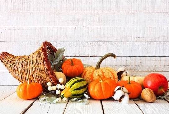 كورنوكوبيا .. مشروع أمريكي لإنتاح الطعام من الهواء