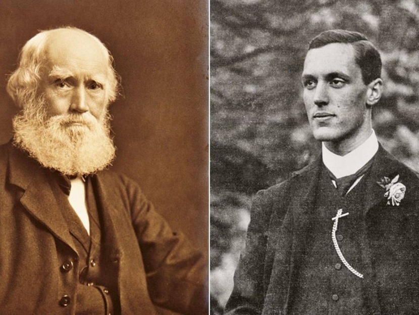 كابوس المتاجر المنهارة يقض مضجع جون لويس