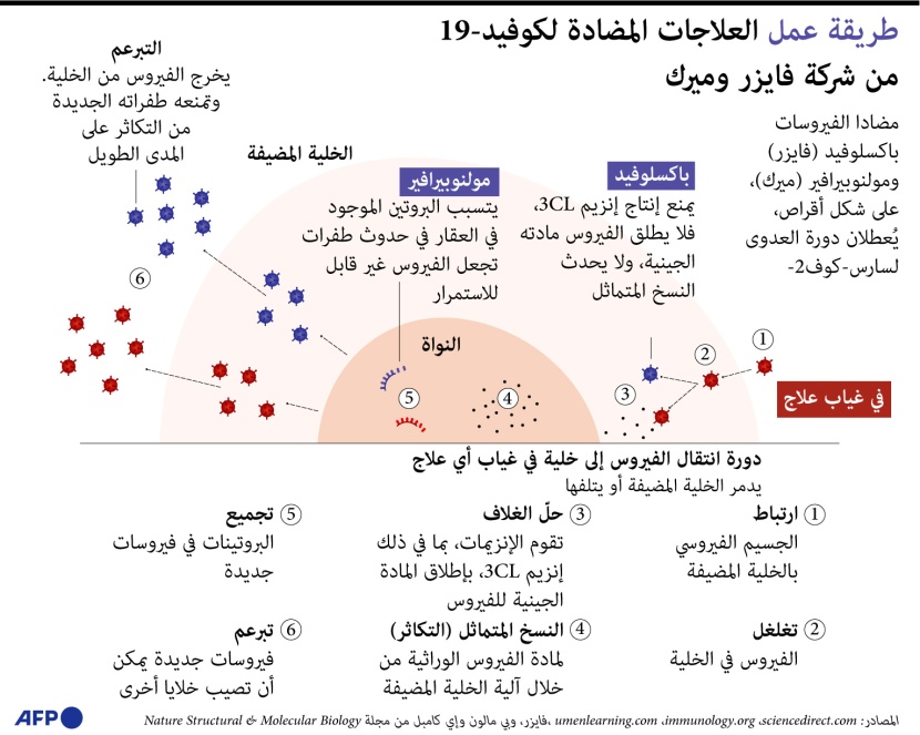 كيف تعمل الأقراص المضادة لكوفيد؟