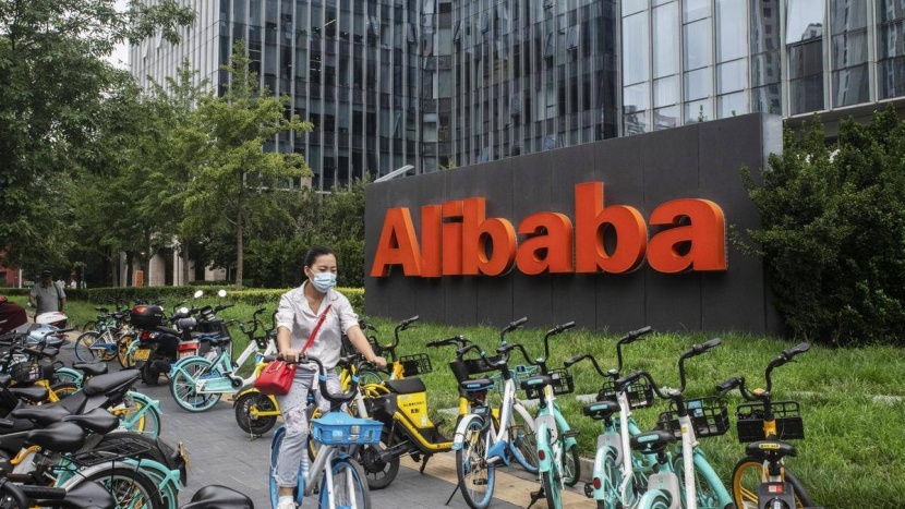 المتاعب تلاحق علي بابا .. تماسيح صغيرة في نهر اليانغتسي