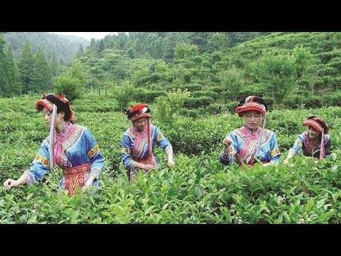 صينيون يتركون أعمالهم ويعودون إلى الريف للعيش باسترخاء