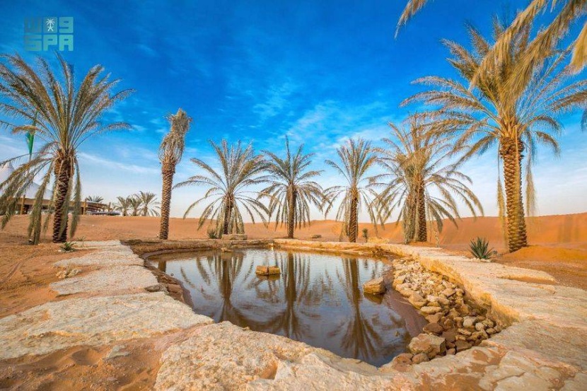 «أوايسس».. المزج بين الأصالة والفخامة