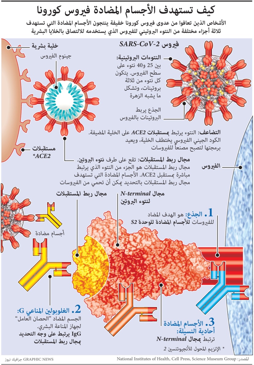 كيف تستهدف الأجسام المضادة كوفيد؟