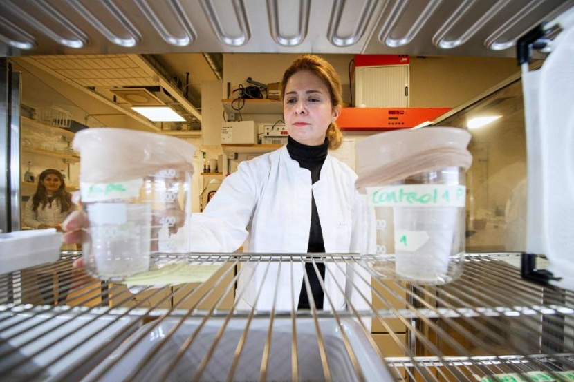 "دم مزيف" .. يكافح البعوض والملاريا