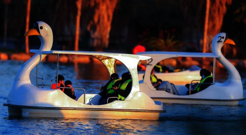 «رياض سفاري» .. تجربة من الترفيه البري