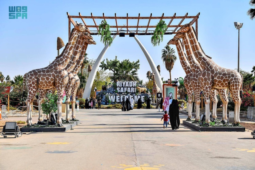 «رياض سفاري» تسدل الستار .. 77 يوما من العروض التفاعلية والمغامرات