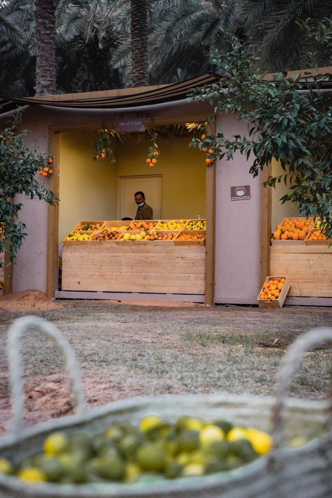 مهرجان العلا للحمضيات.. 200 ألف شجرة ومنصات عرض للمزارعين ودورات للطهاة