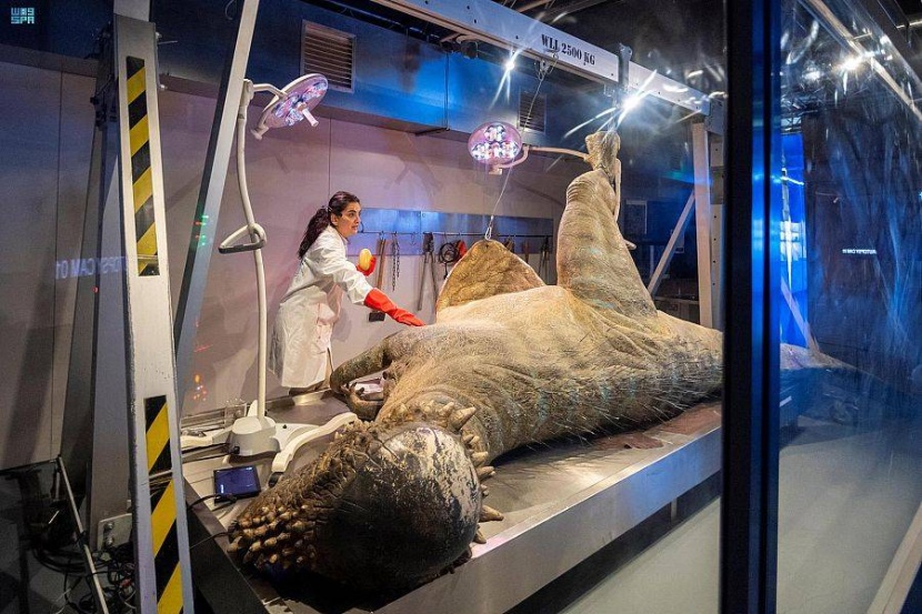 «البوليفارد» تنقل زوارها إلى أزمنة ما قبل التاريخ