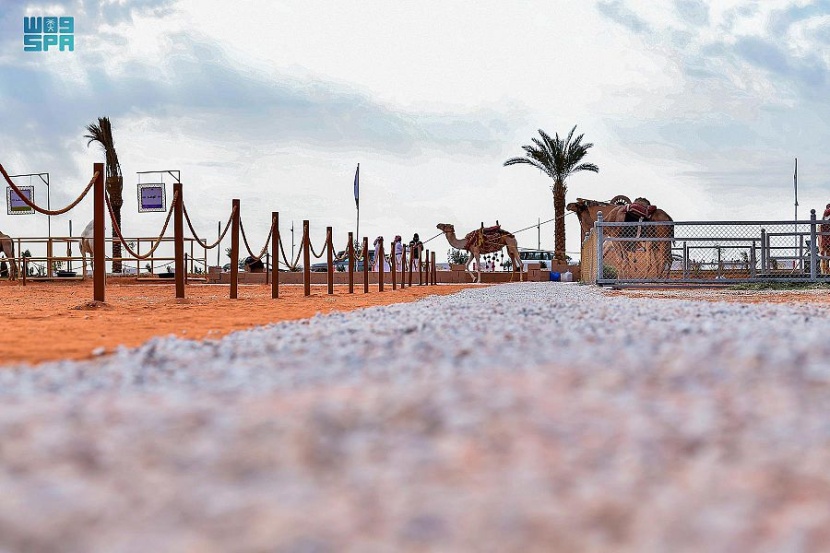 مهرجان الملك عبدالعزيز للإبل يعزز المكانة التاريخية للصياهد