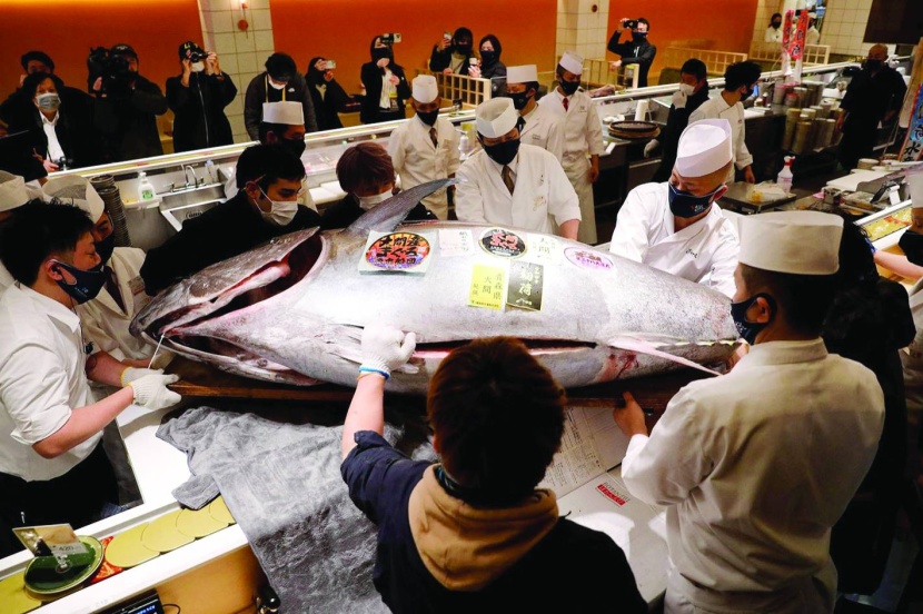بيع سمكة تونة بـ 146 ألف دولار  في طوكيو