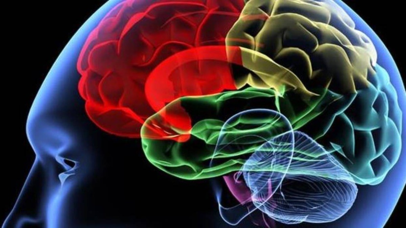 الموجات الصوتية .. علاج جديد للدماغ والقلب دون جراحة