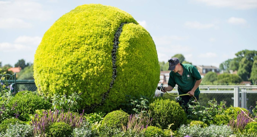 الاستثمار الأخضر .. تمويه وبيع مضلل