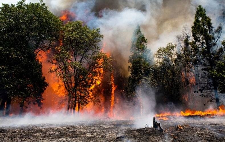 كولومبيا .. يناير الأعلى حرارة منذ 10 أعوام