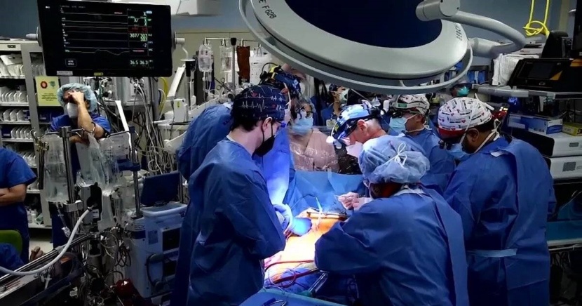 وفاة أول مريض خضع لعملية زرع قلب خنزير