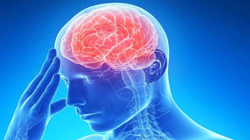 التهاب الدماغ الياباني .. فيروس سريع الانتشار في أستراليا