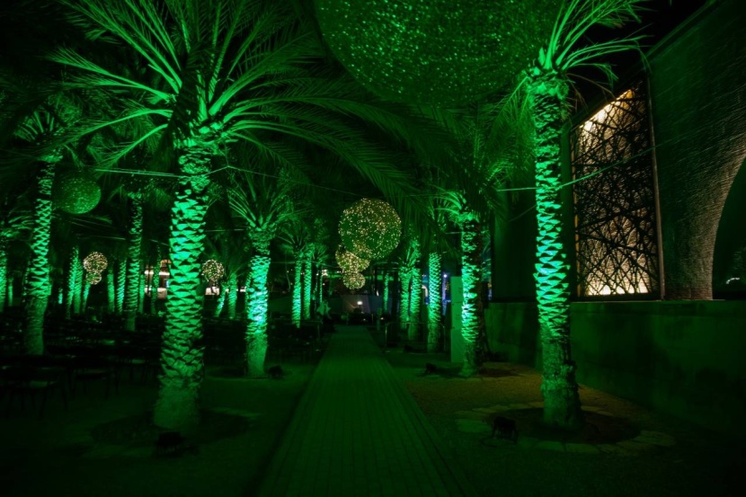 «ذا جروفز» تبهر زوارها بالإضاءات والطبيعة