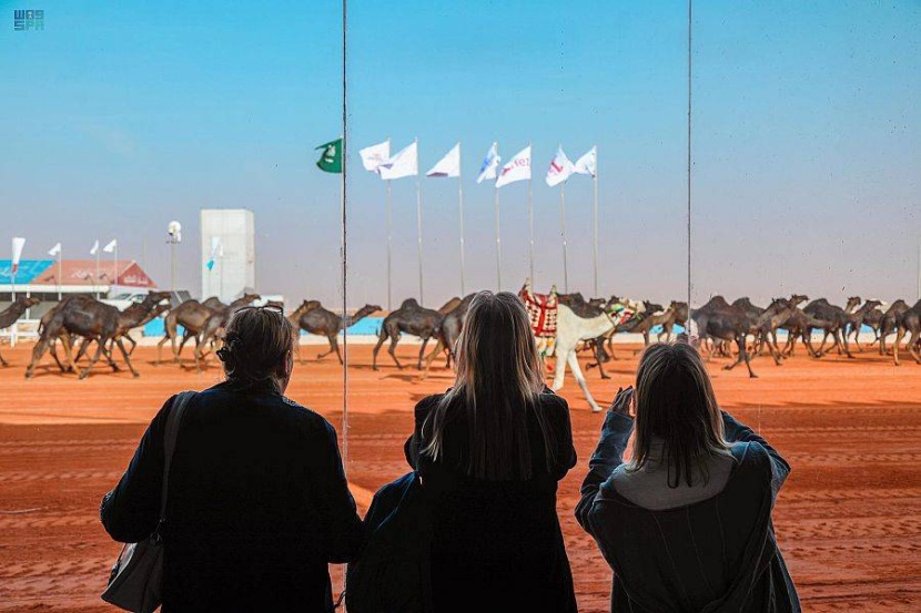 7 شركات أوروبية تبحث الاستثمار في قطاع الإبل