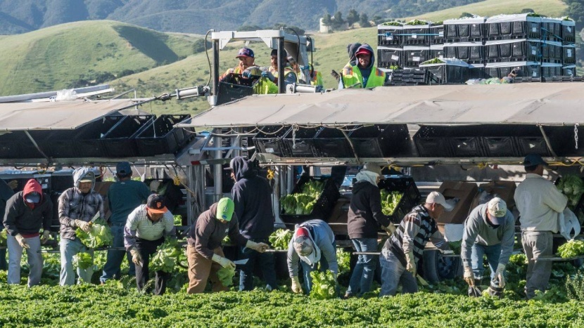 المزارعون يشعرون بالحرارة الناجمة عن تغير المناخ