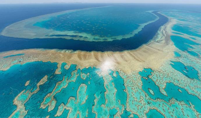 أستراليا: الحاجز المرجاني أبيض بسبب ارتفاع درجات الحرارة